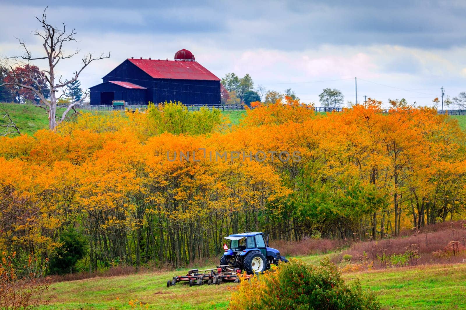 Tractor mowing grass on a farm in Central Kentucky