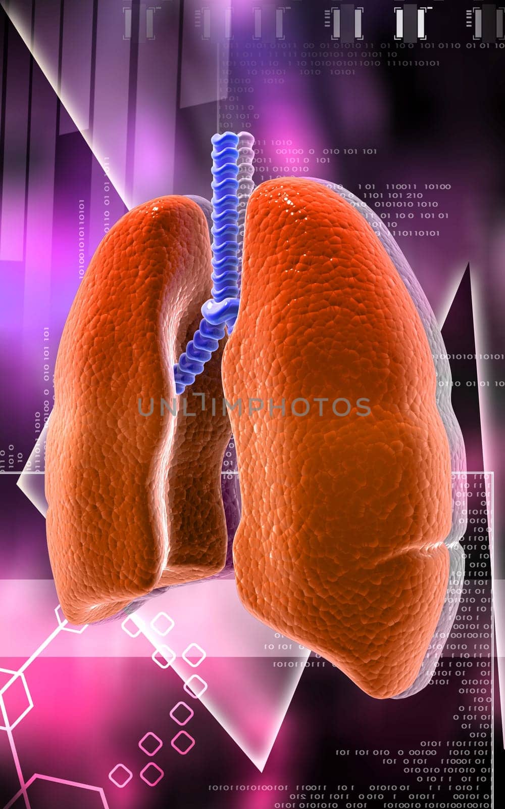 Digital illustration of human lungs in colour background