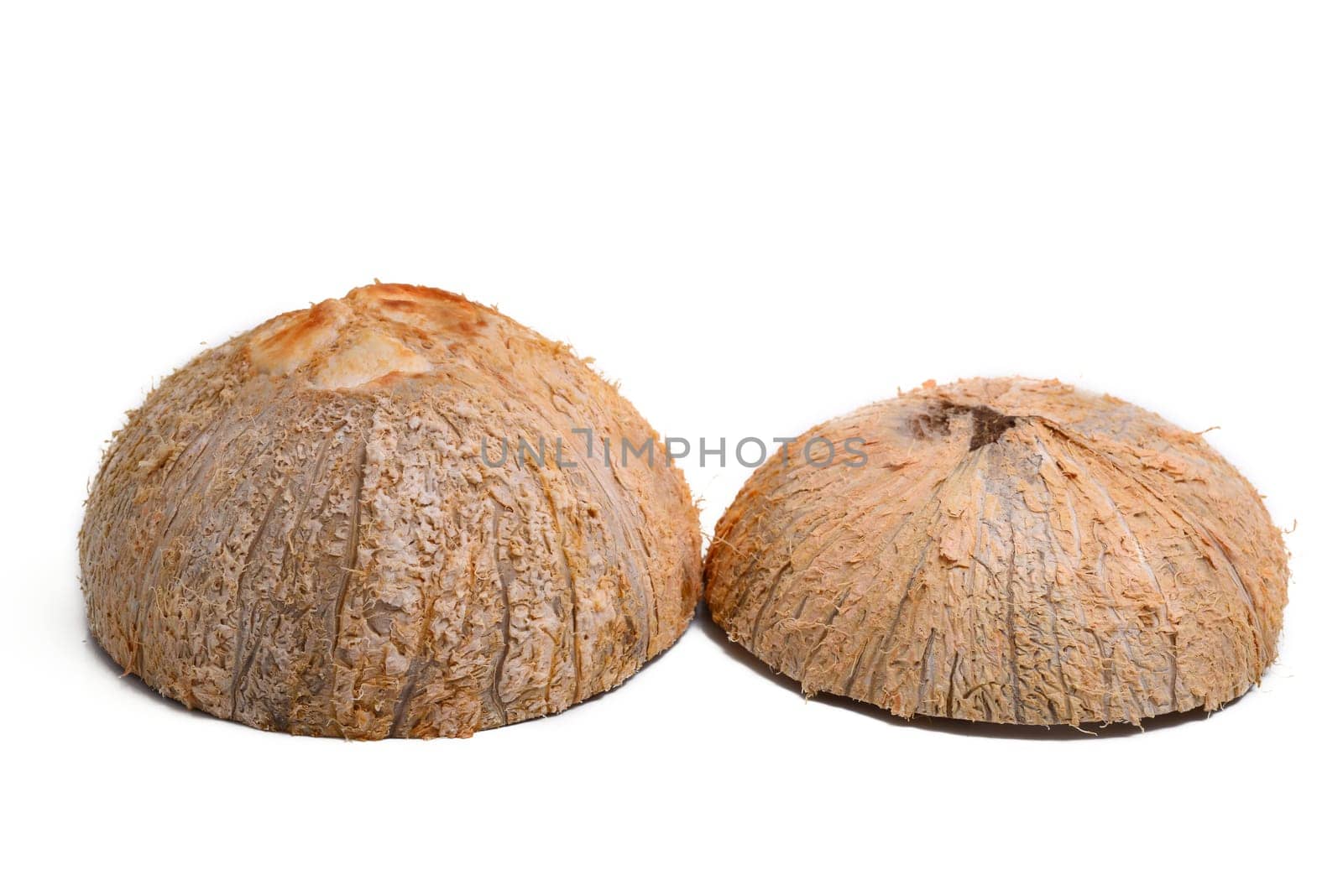 Coconut isolated on white