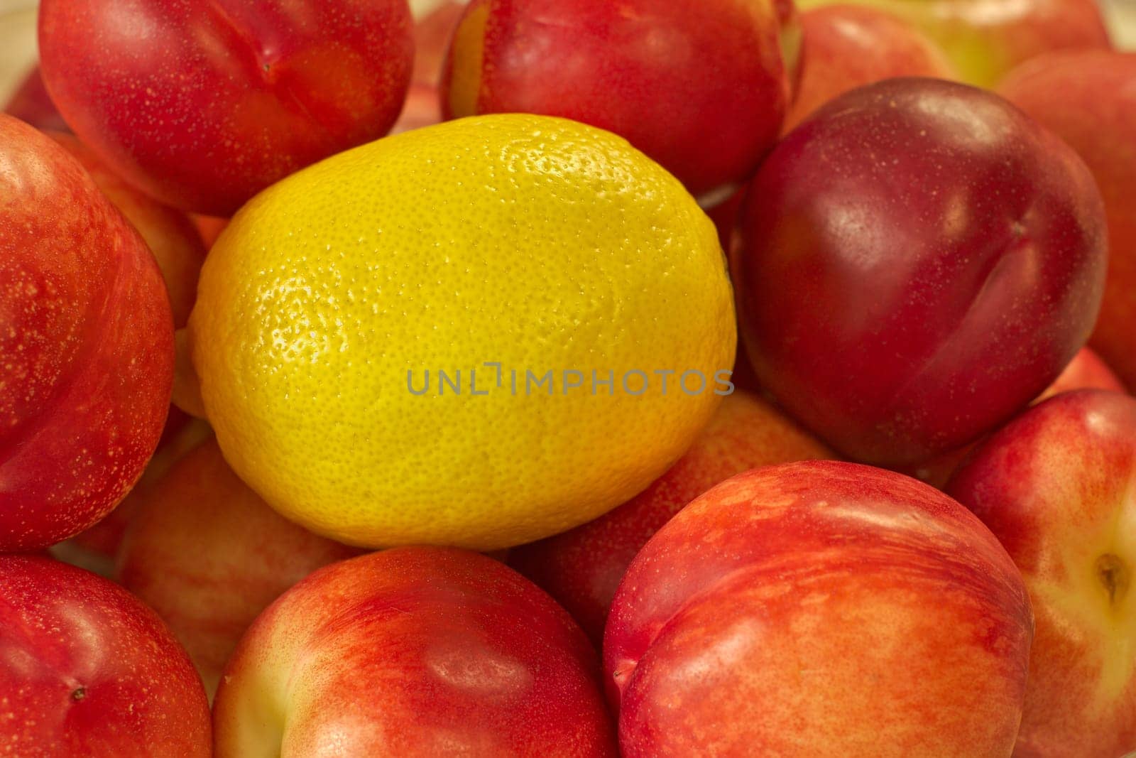 A lemon surrounded by nectarines