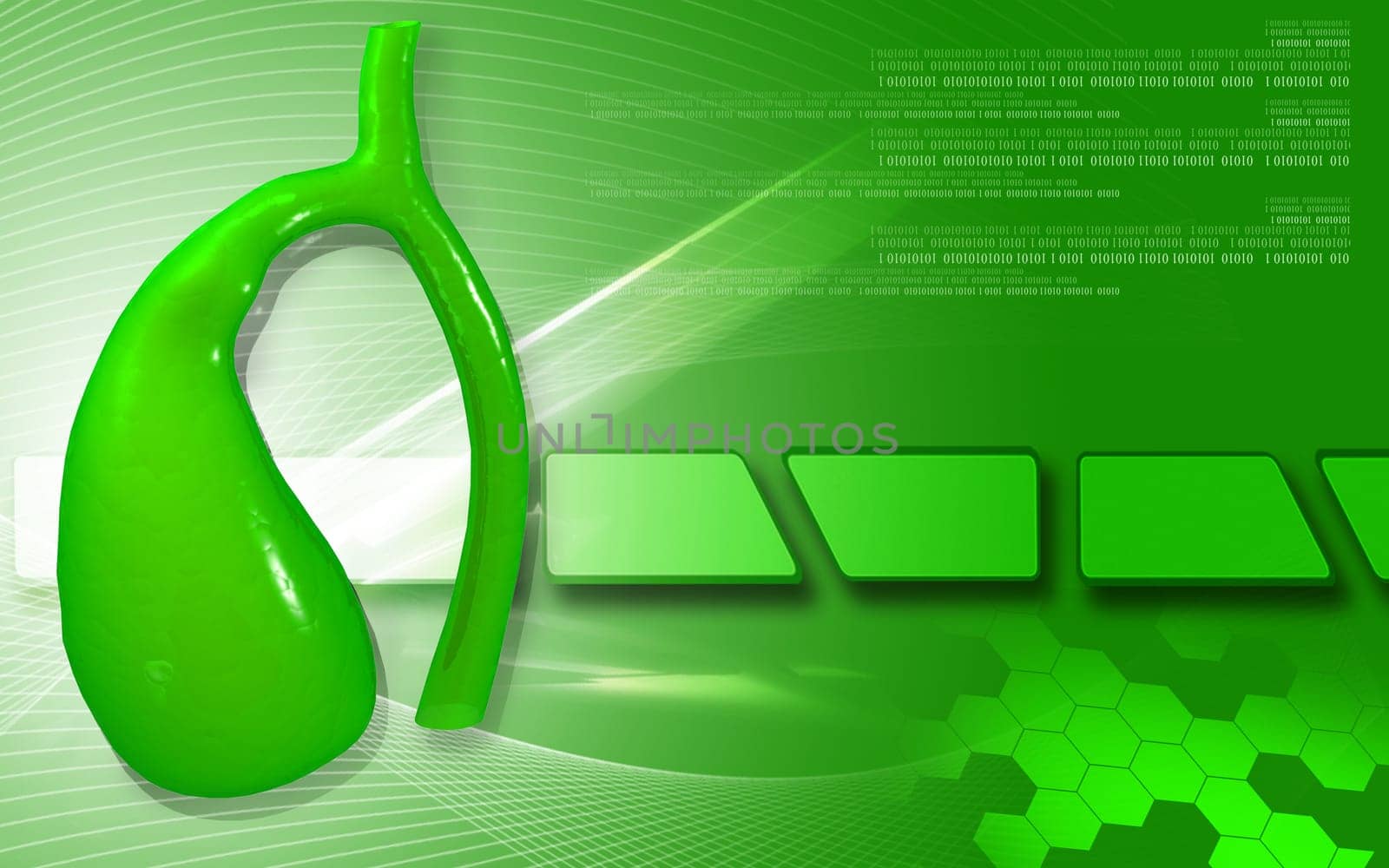 Digital illustration of pancreas in colour background