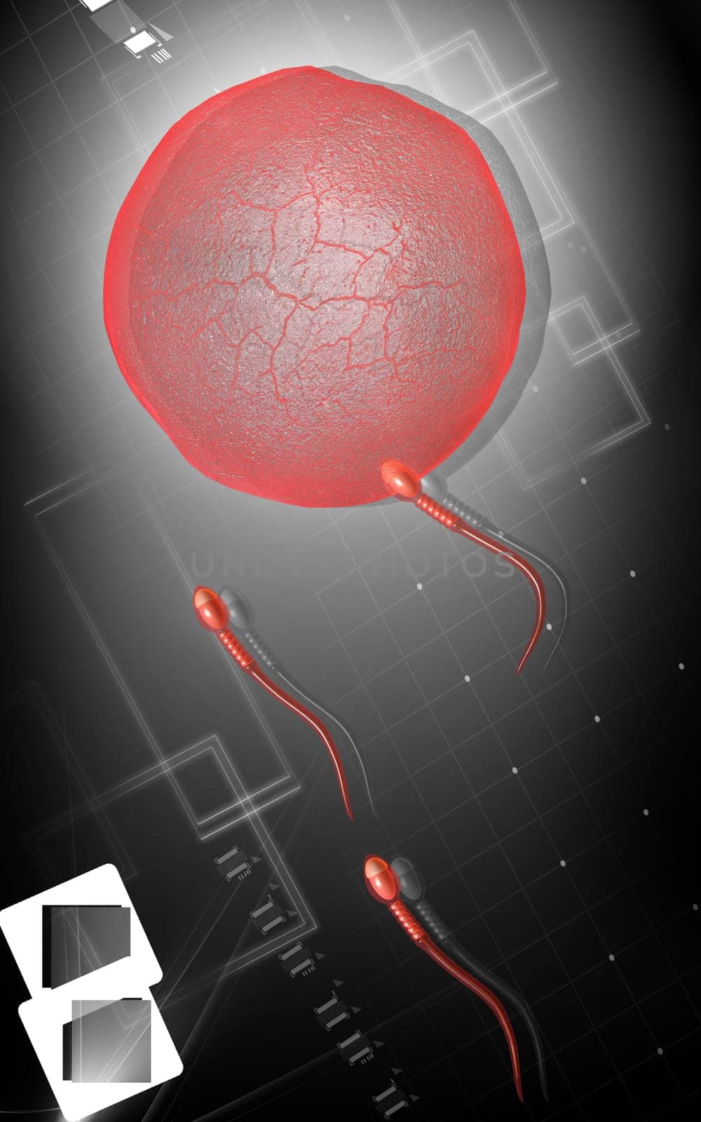 Digital illustration of sperm in colour background