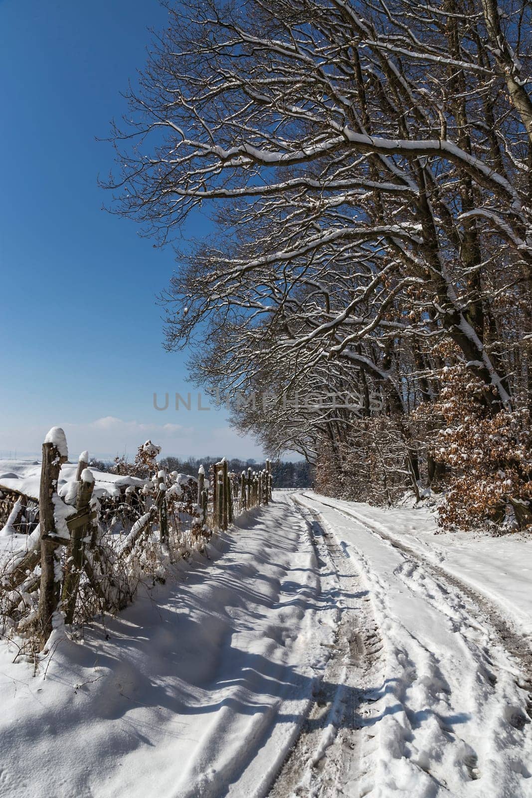 Snow-covered winter trail at the edge of the forest