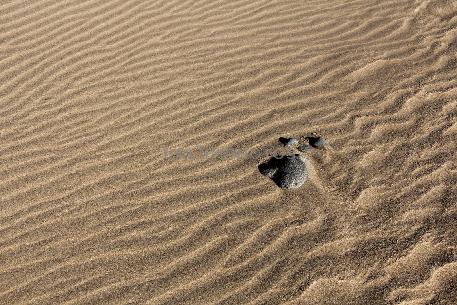 Stones in the desert sand