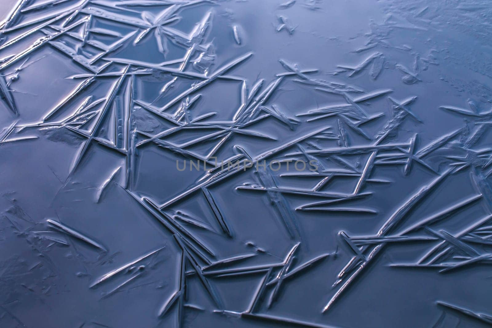 Ice crystals on the water surface