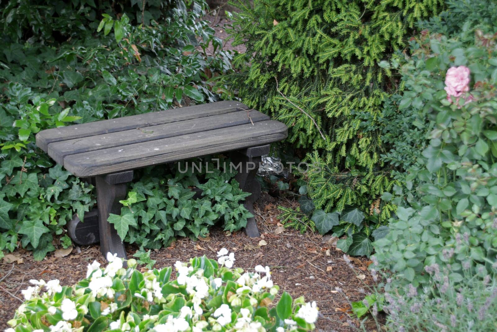 Cemetery bench