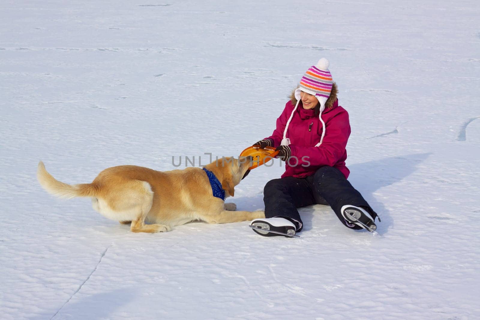 Happy attractive girl with ice skates playing with her dog on frozen lake