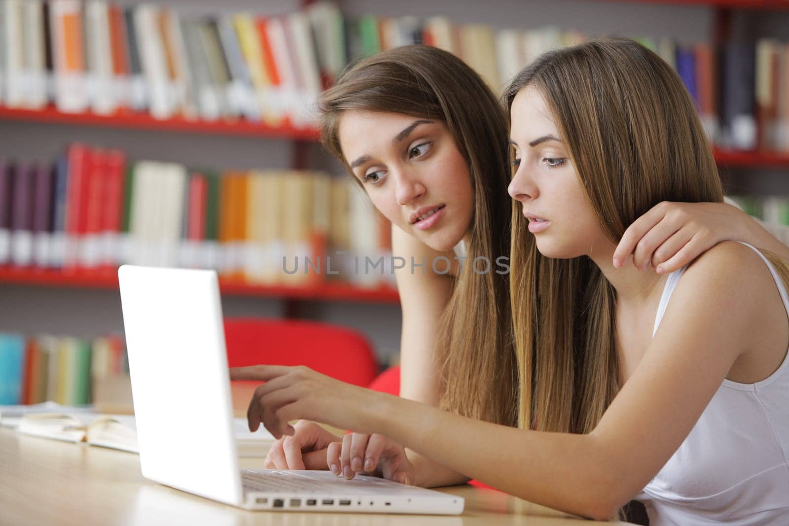 Two friends are looking at the computer