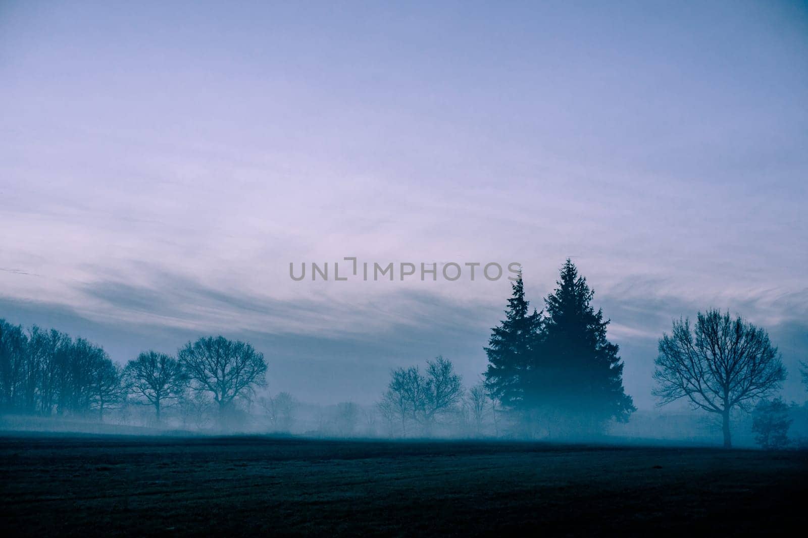 Magical morning mist foliage on a beautiful countryside scenery landscape