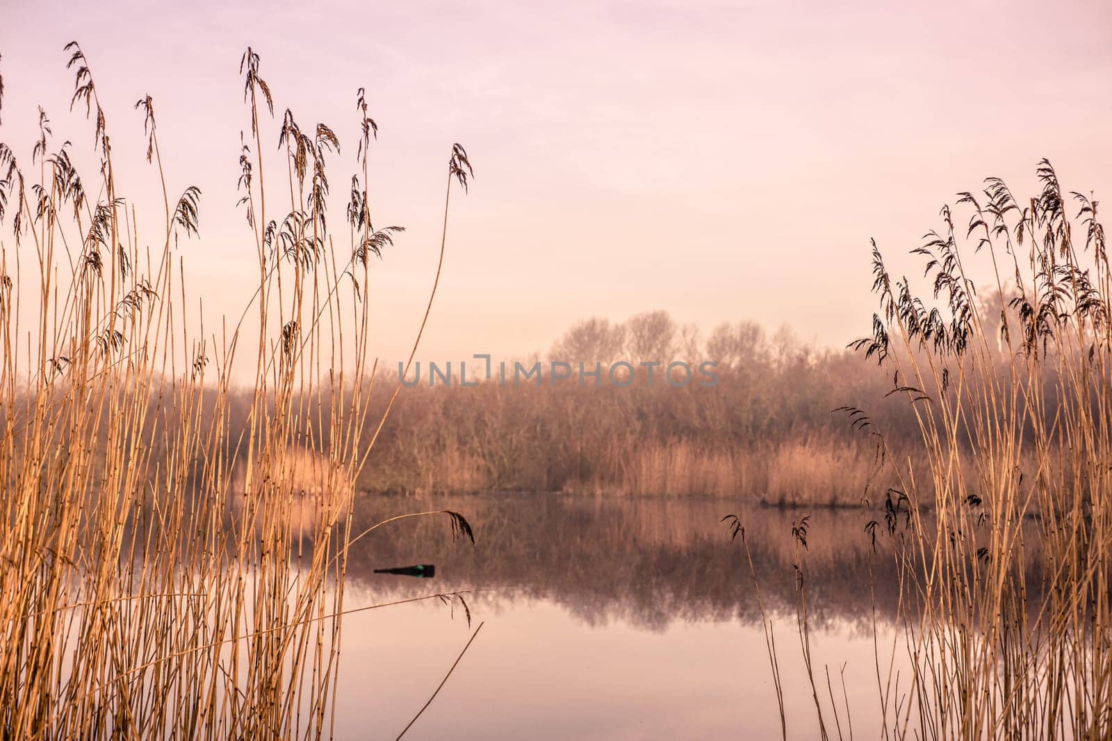 Small idyllic lake on a misty autumn morning