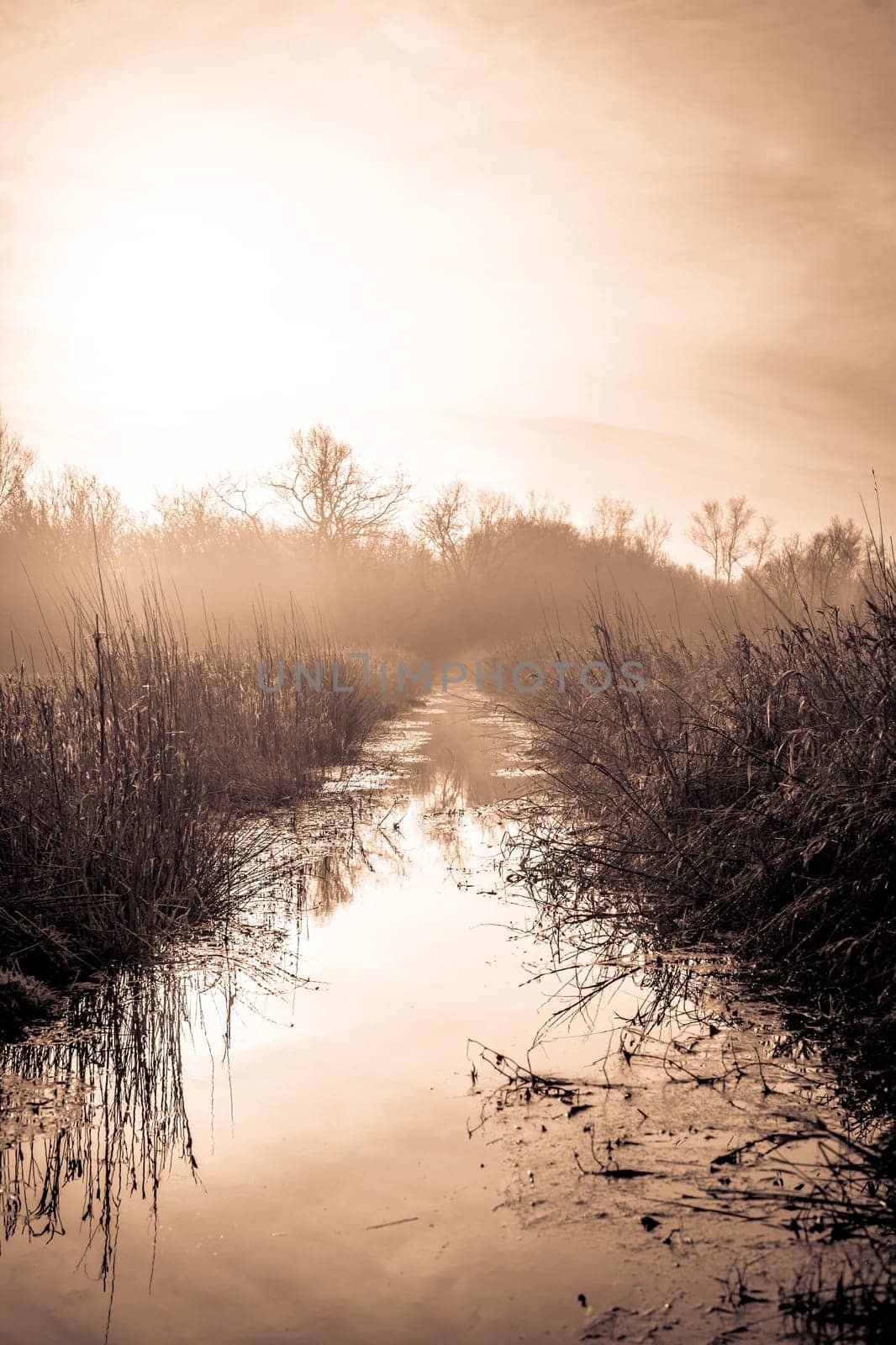 Small idyllic lake on a misty autumn morning