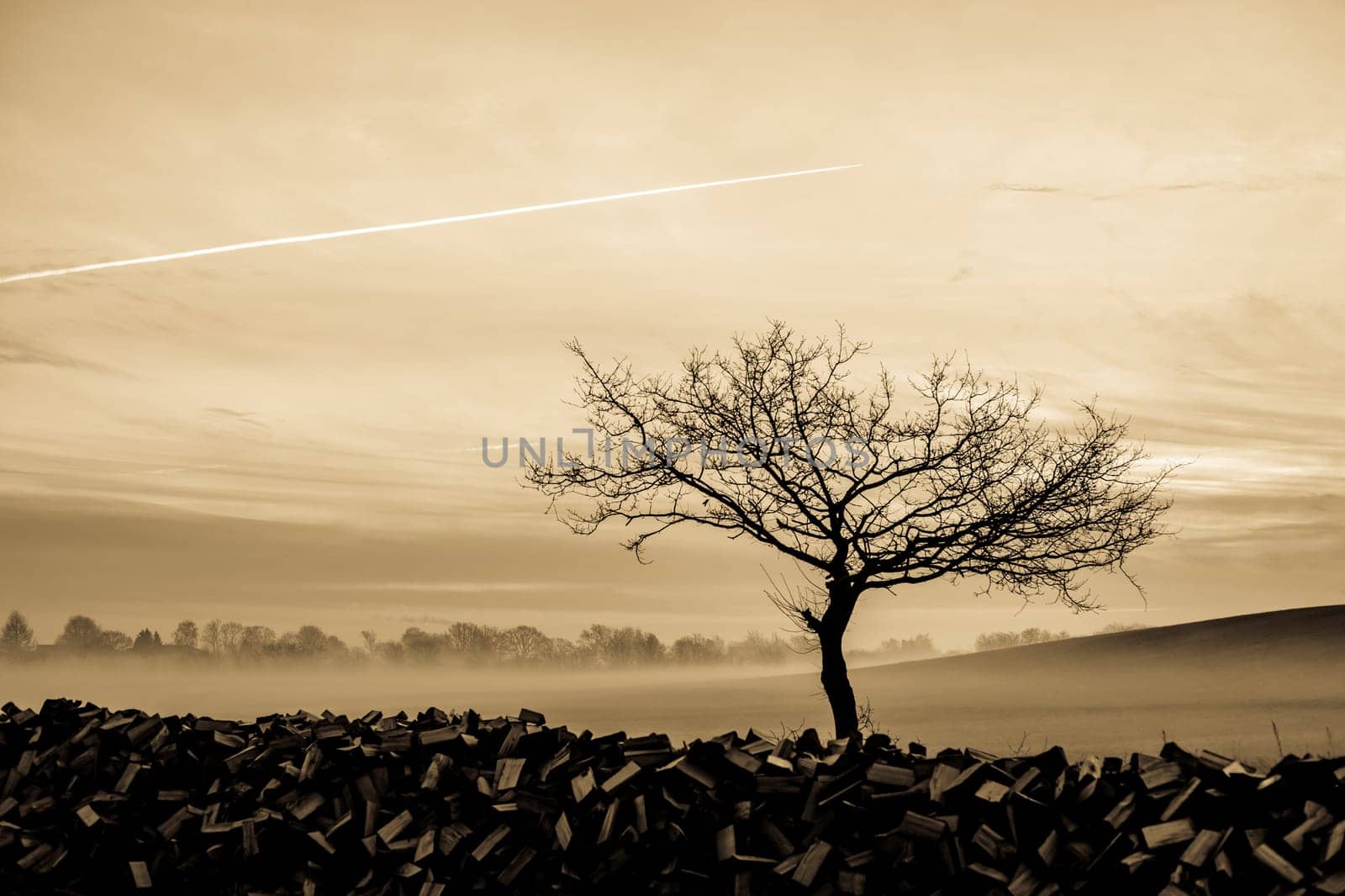 Magical morning mist foliage on a beautiful countryside scenery landscape