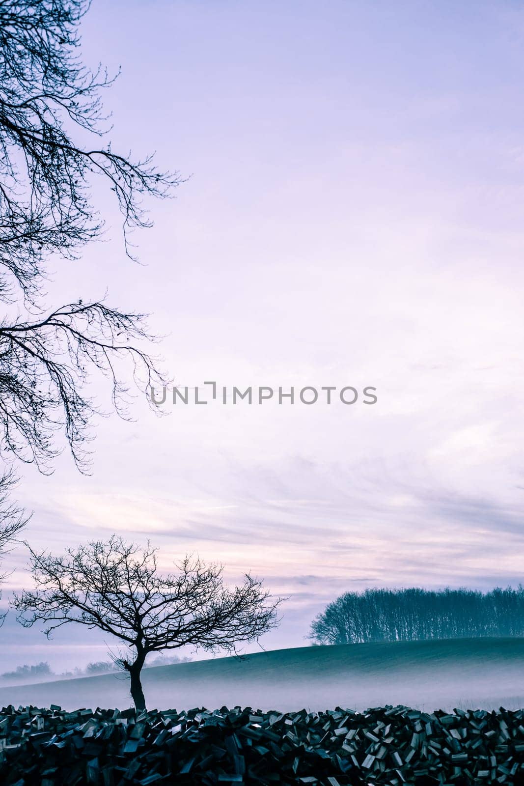 Magical morning mist foliage on a beautiful countryside scenery landscape