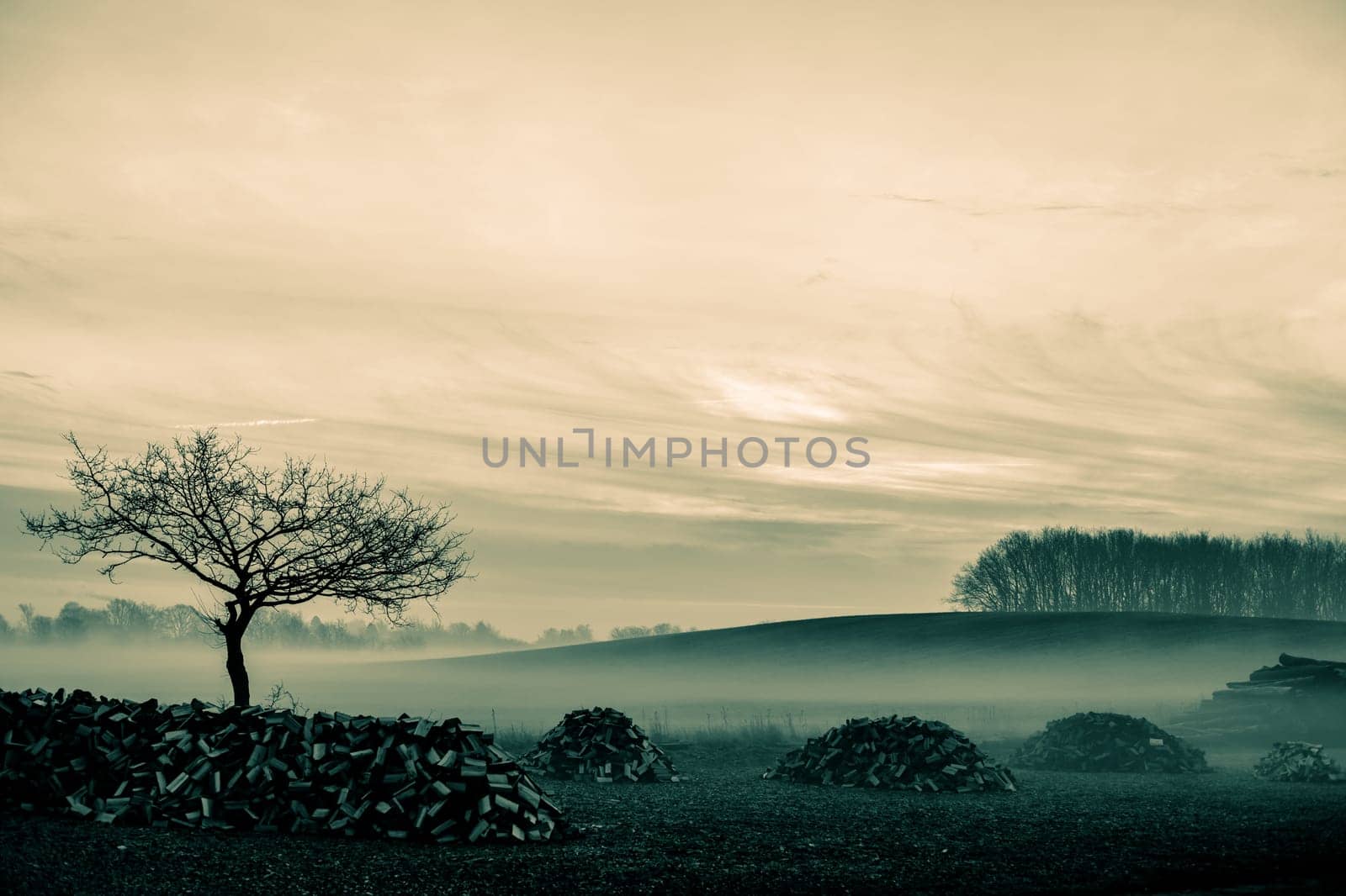 Magical morning mist foliage on a beautiful countryside scenery landscape
