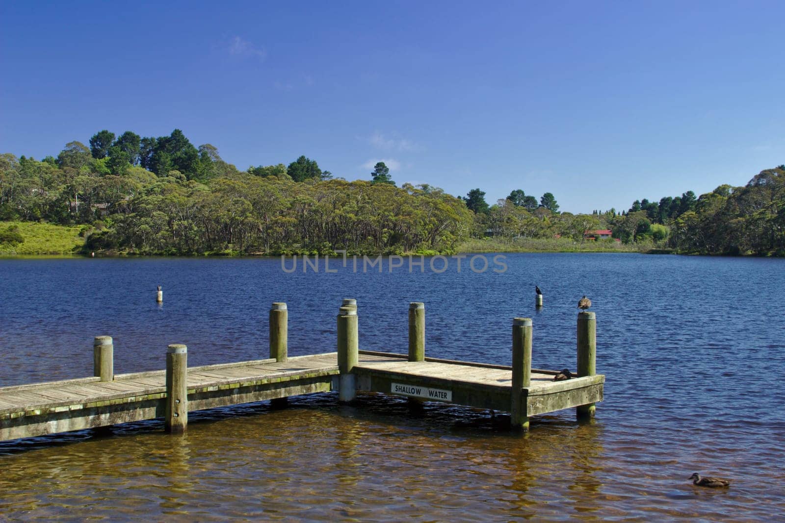 A view of the jetty at Wentworth Falls Lake in the Blue Mountains, Australia