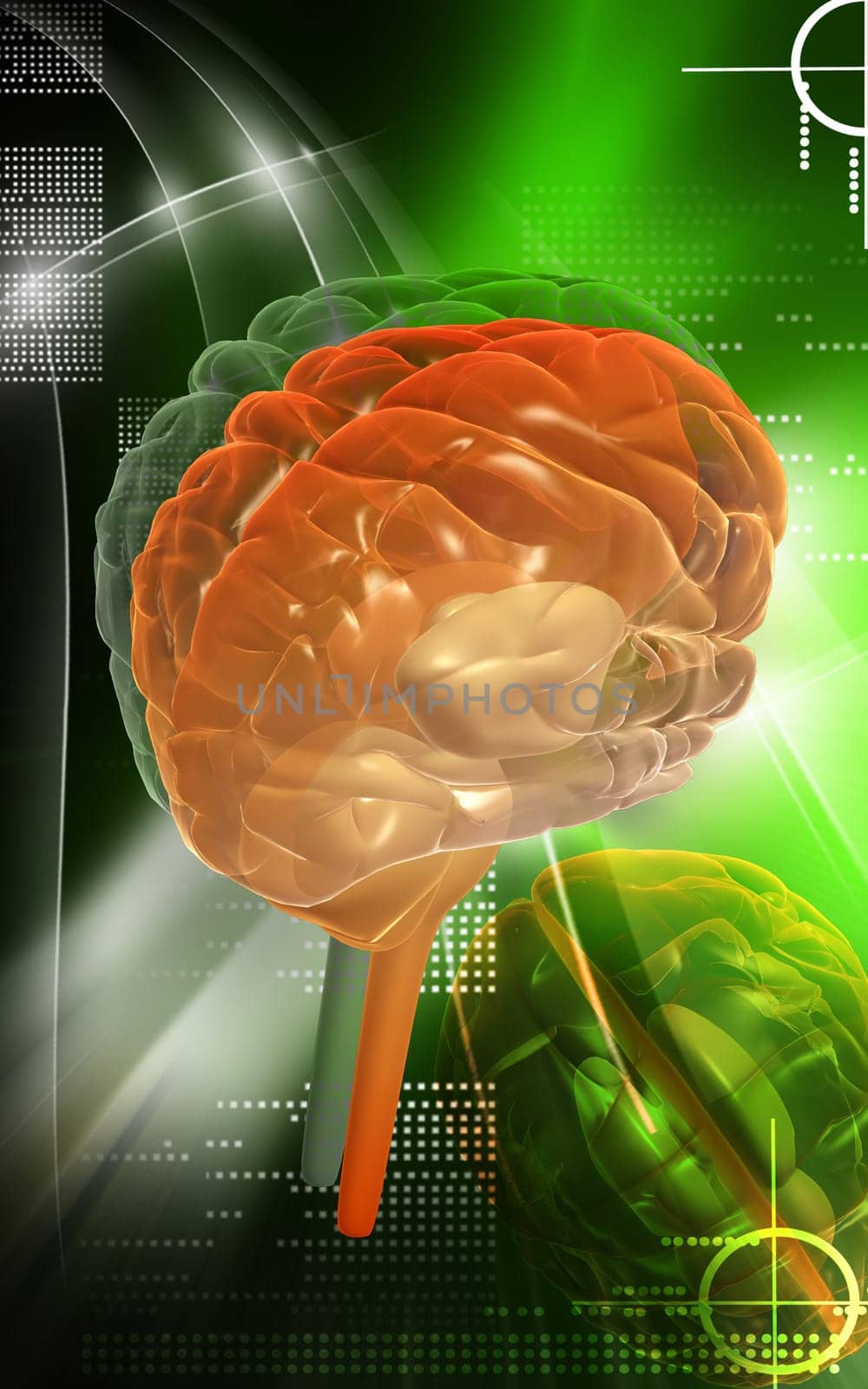 Digital illustration of brain in colour background