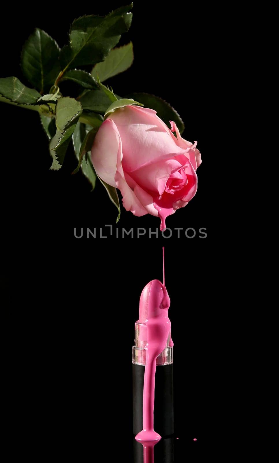 Concept of pink rose melting to form lipstick