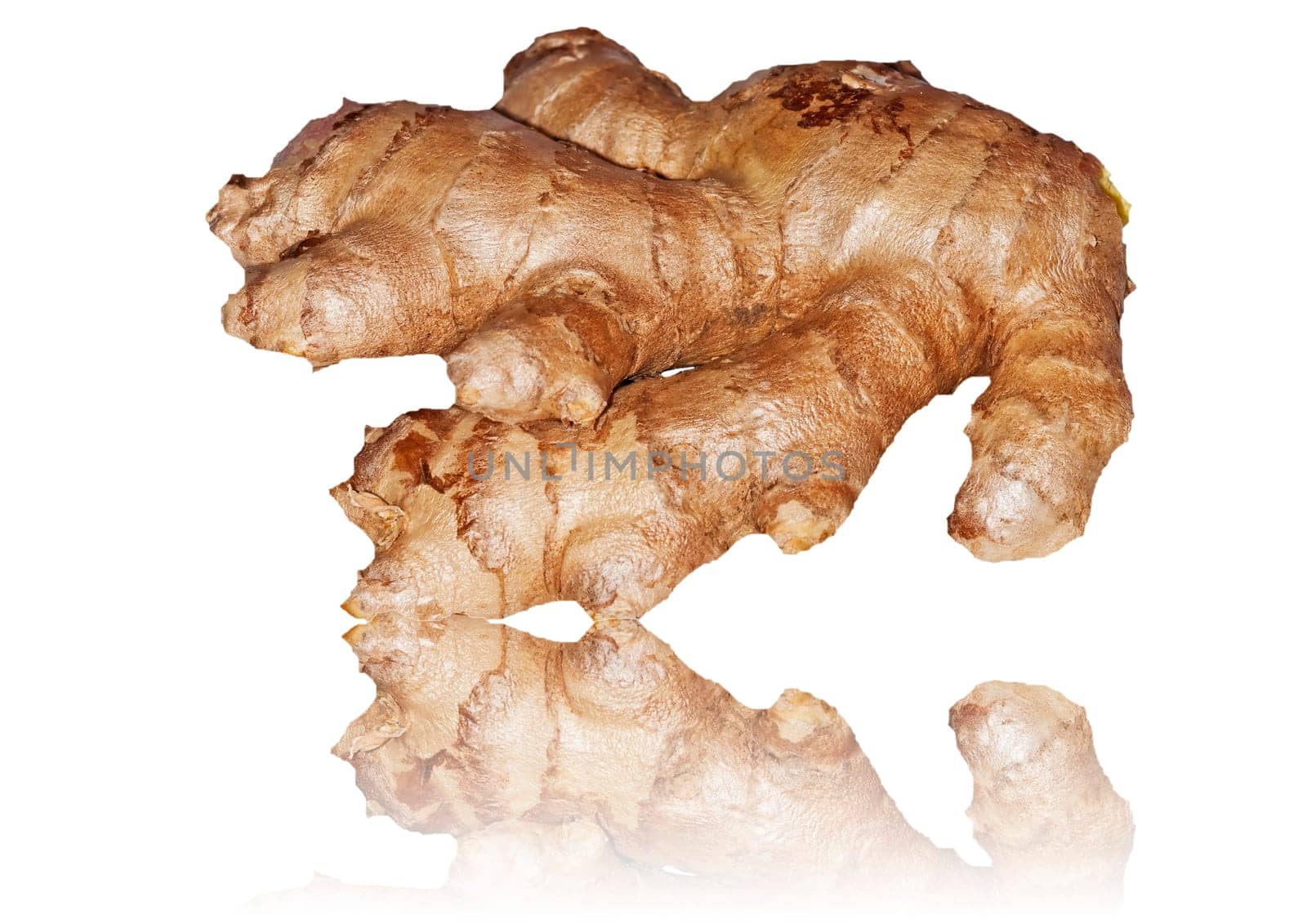 Ginger