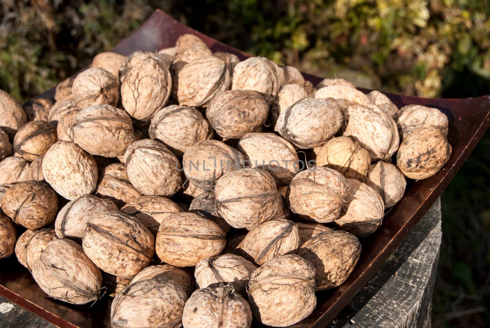 Freshly picked walnuts in wooden platter on stone