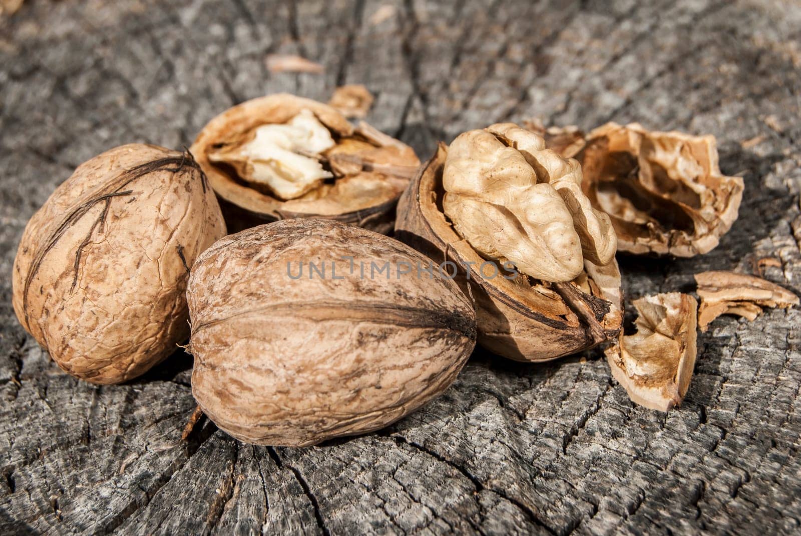 Freshly picked whole and broken walnuts on old weathered tree trunk background