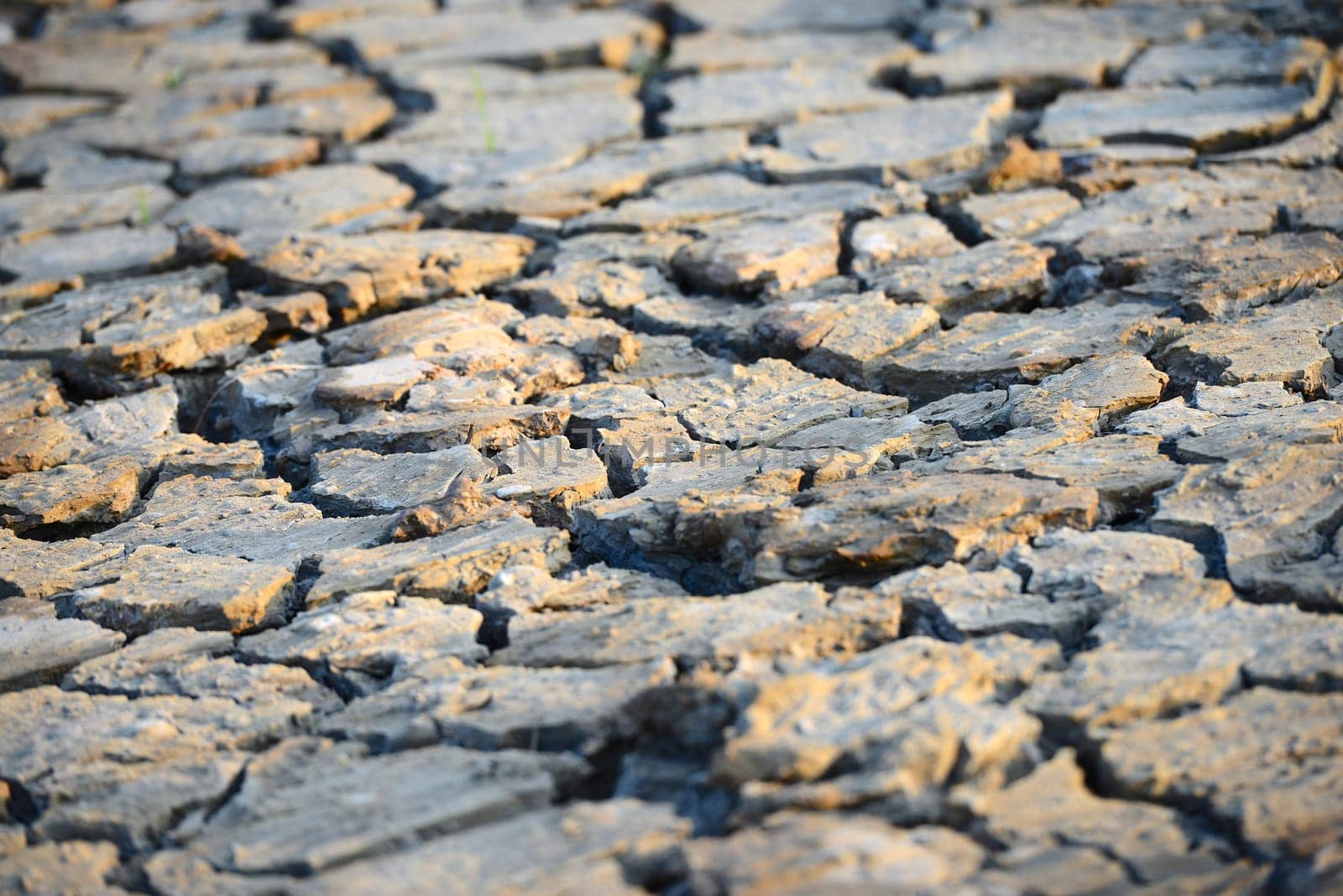 cracked soil