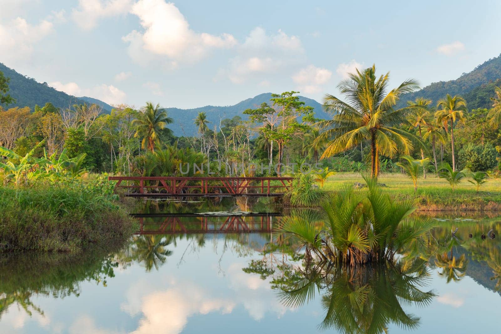 Small lake with palm trees in a tropical resort under a sky