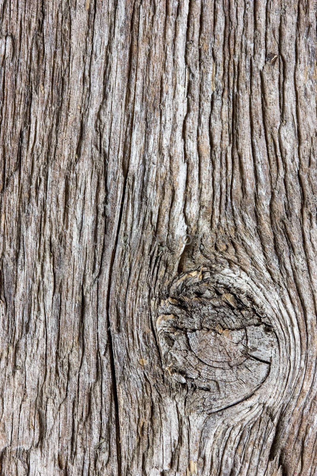 Texture of wood, can be used as a background