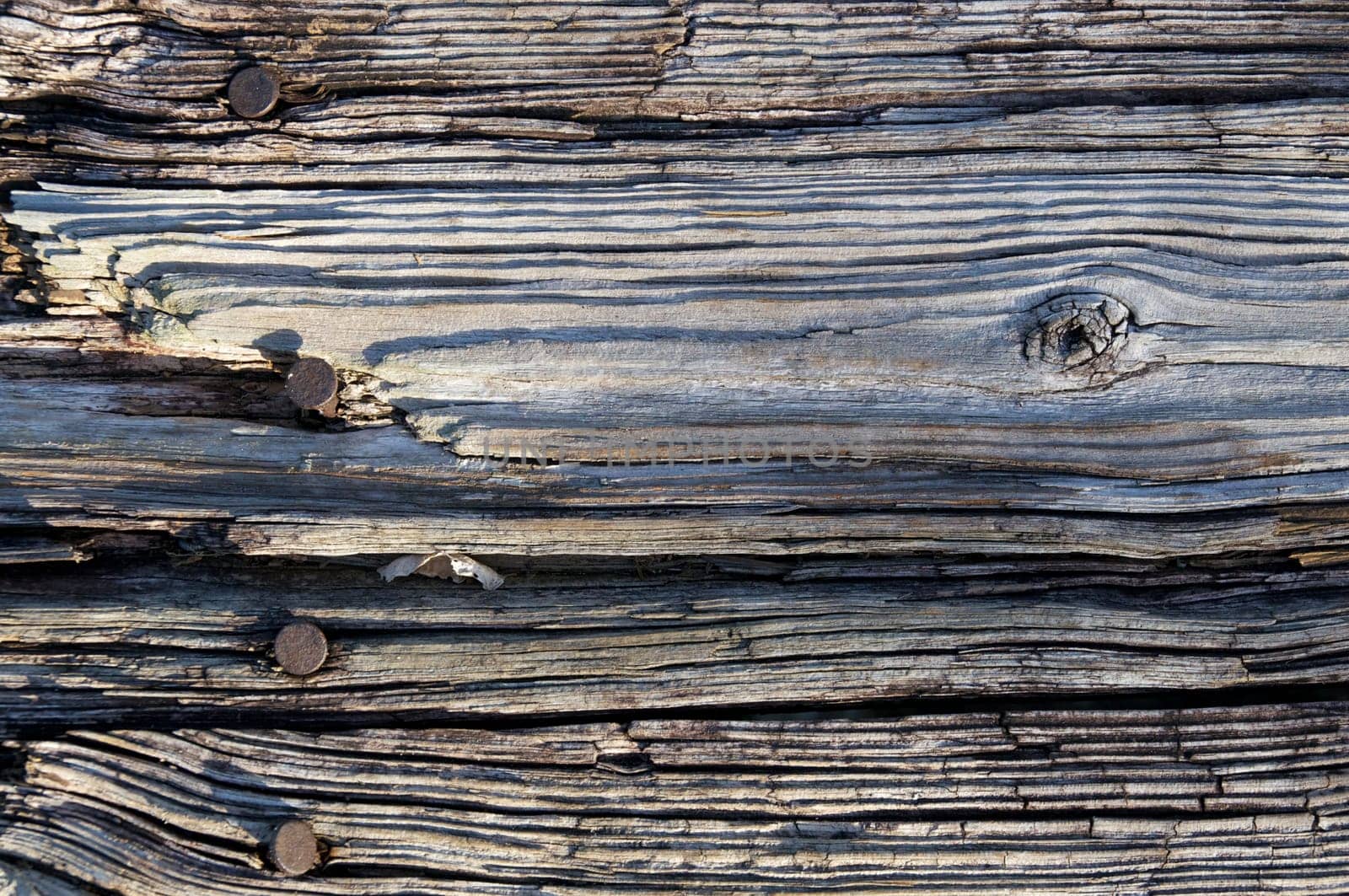Close up full image view looking down on old, rotted, textured wood with rusty nails.