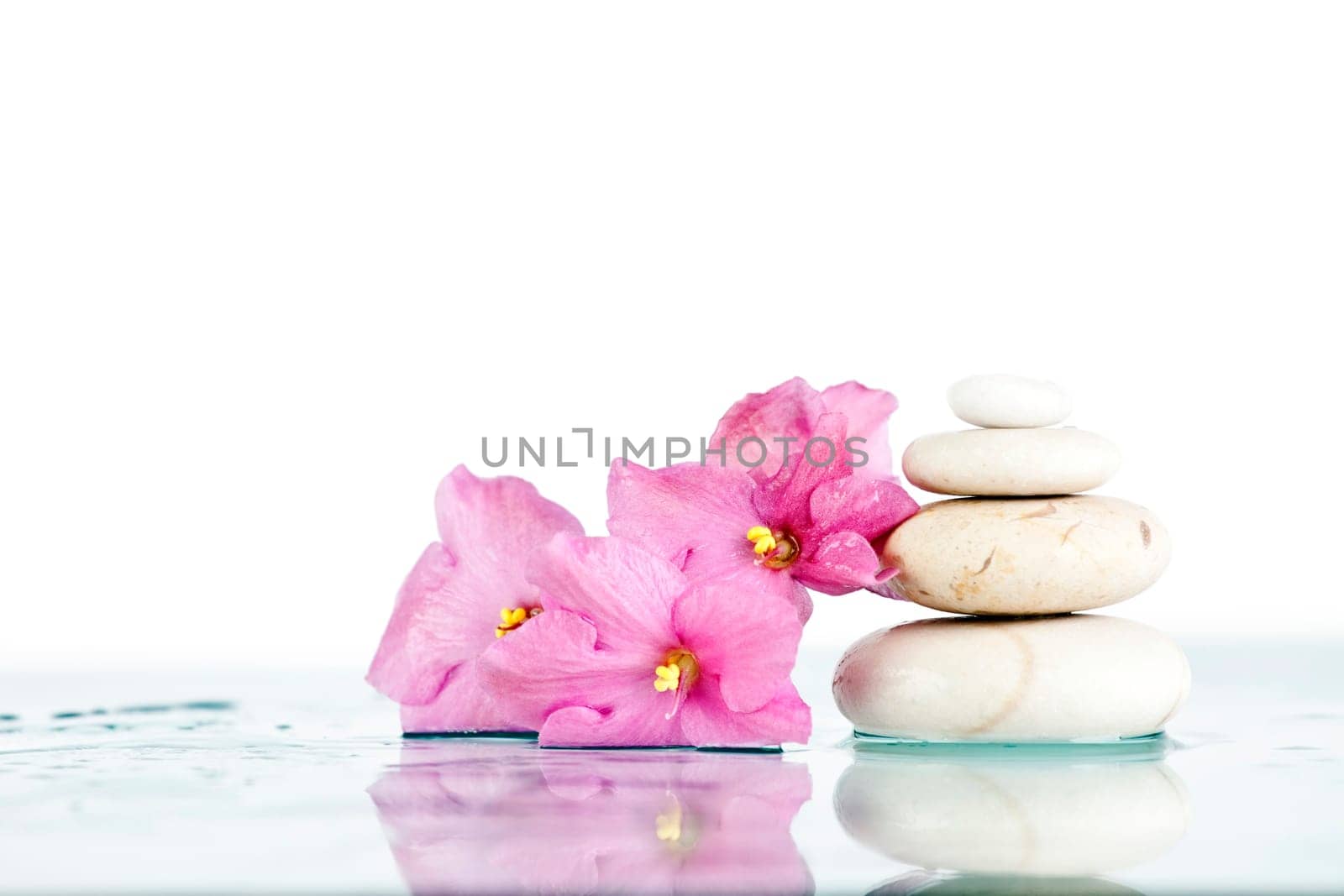 White Spa stones and pink flower on white