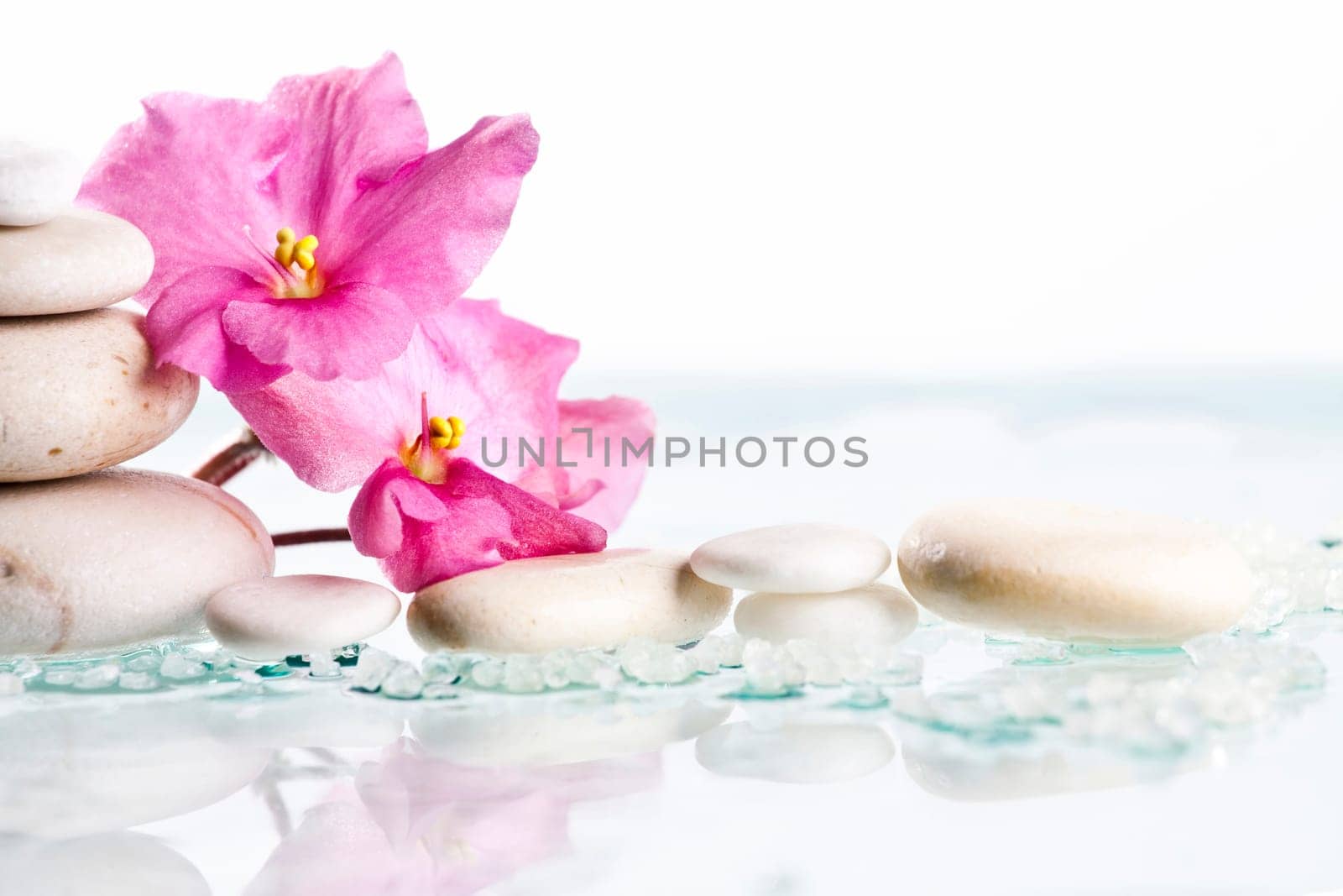 White Spa stones and pink flower on white