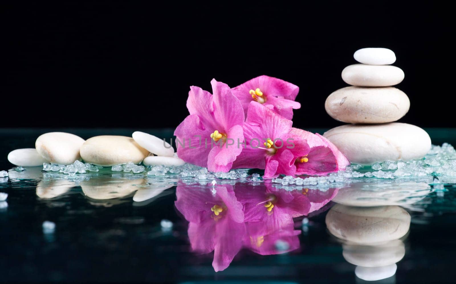 Spa stones sea salt and pink flower on black background