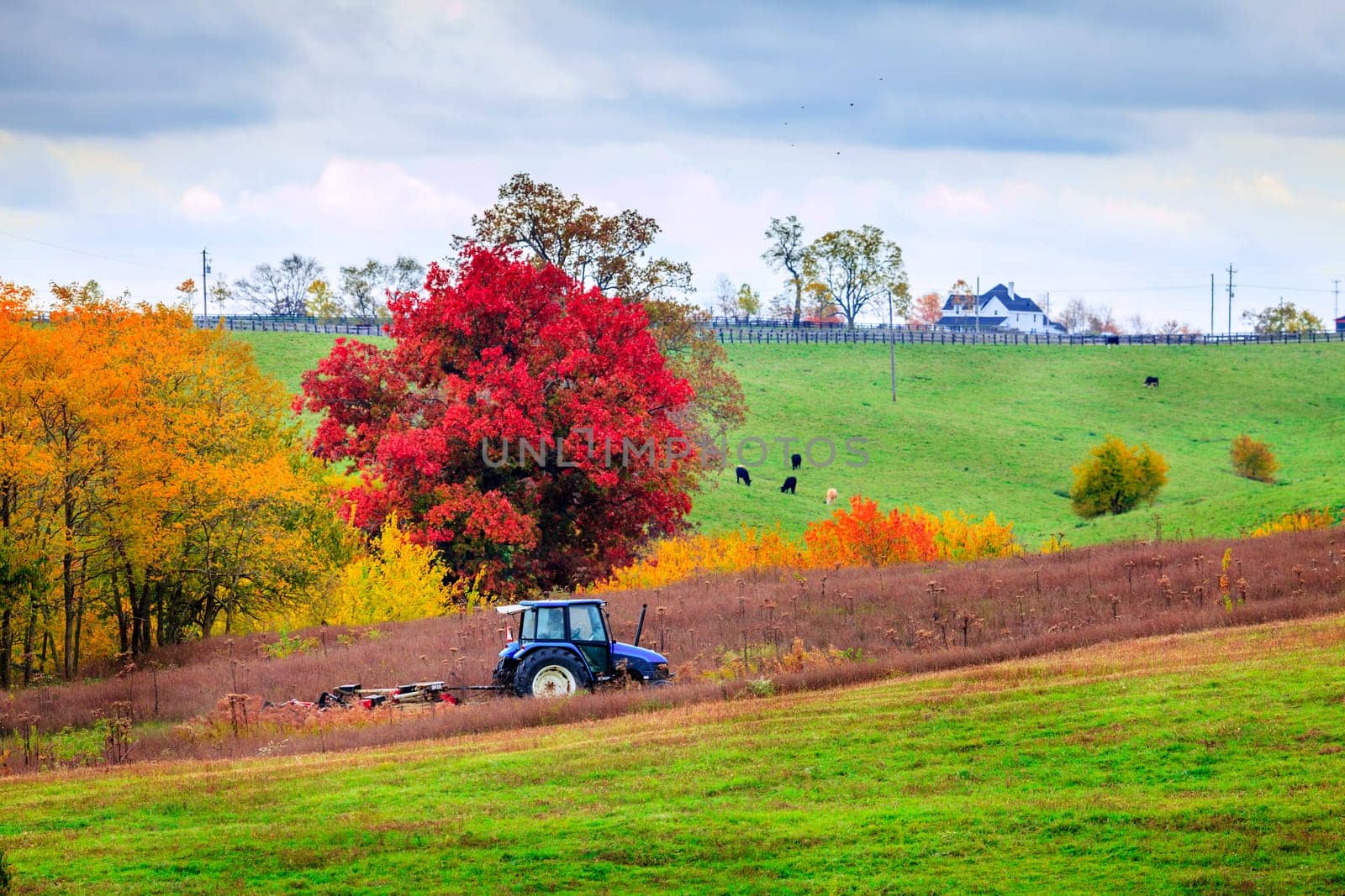 Tractor mowing grass on a farm in Central Kentucky