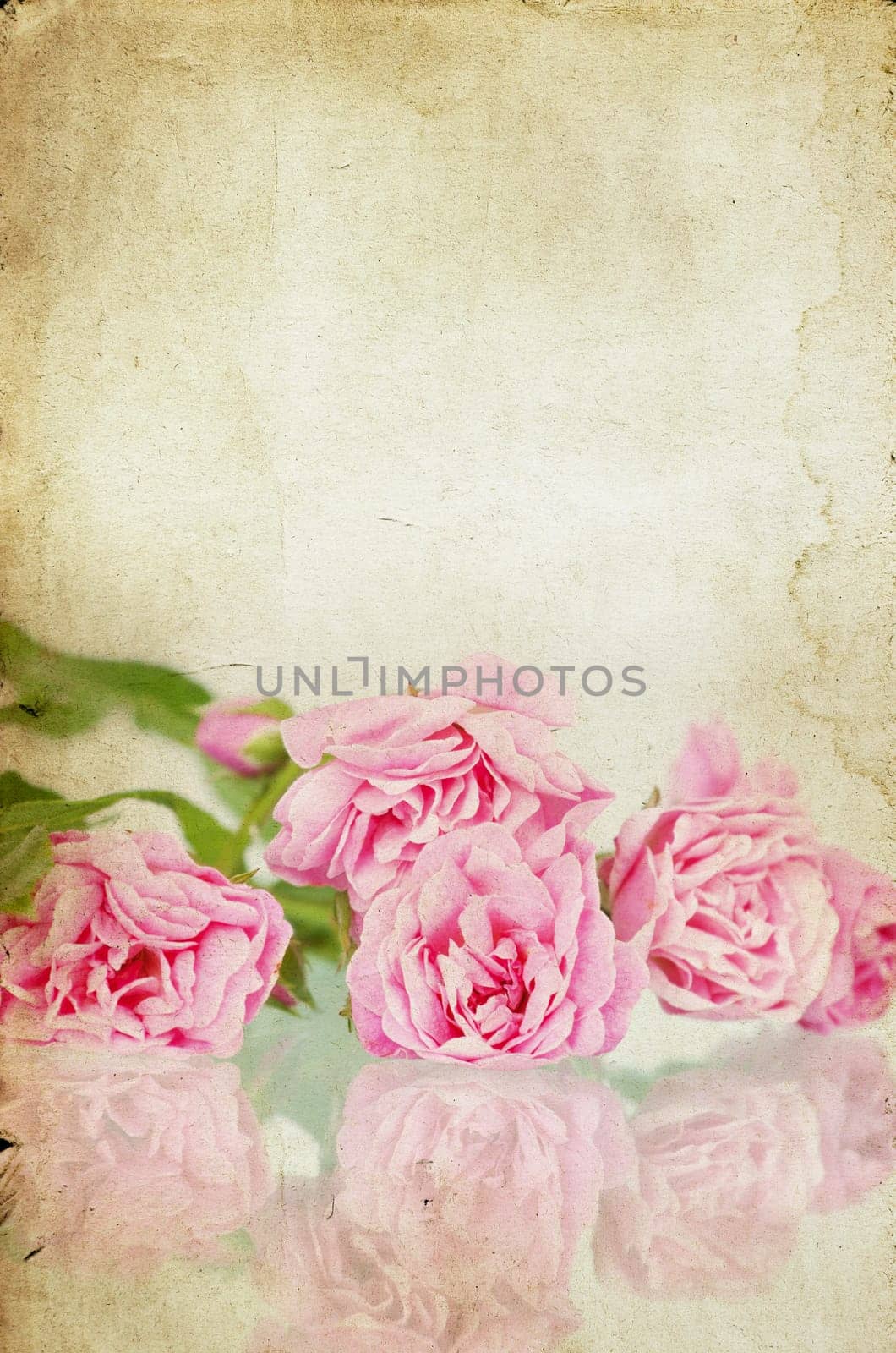 Pink roses on brown vintage cartboard paper background