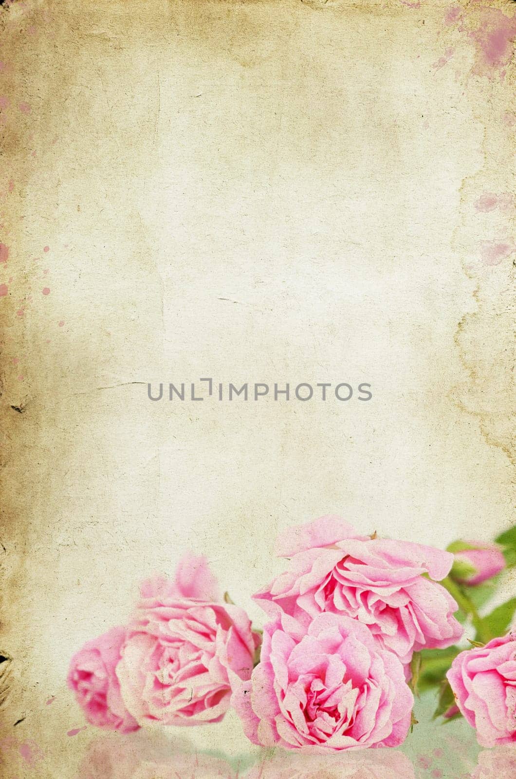 Pink roses on brown vintage cartboard paper background