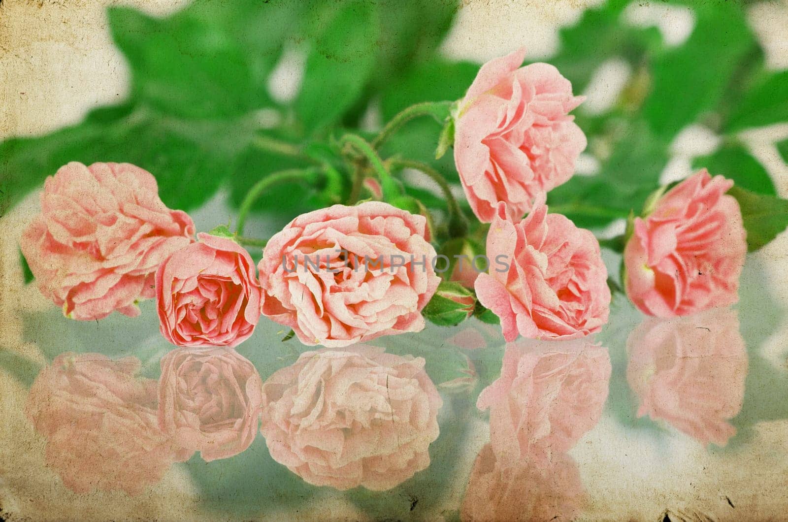 Pink roses on brown vintage cartboard paper background