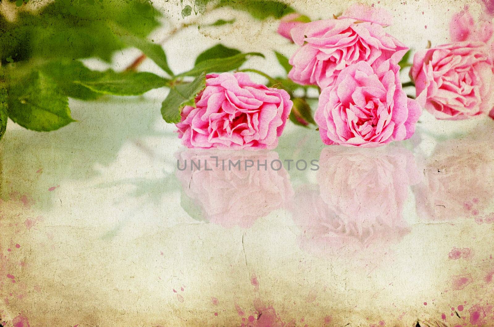 Pink roses on brown vintage cartboard paper background