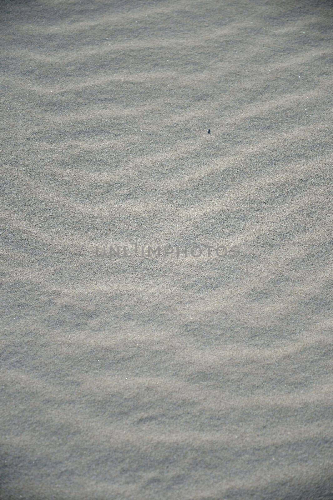 A conceptual beach image with assorted beach items