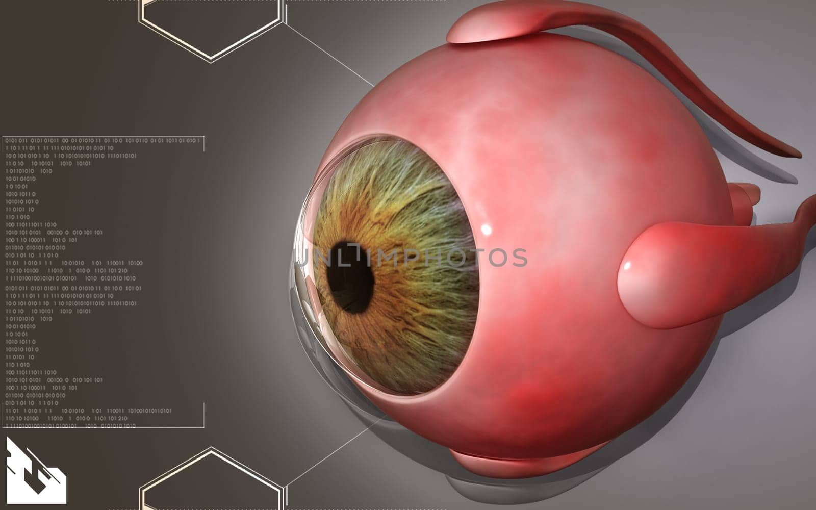 Digital illustration of eye in colour background