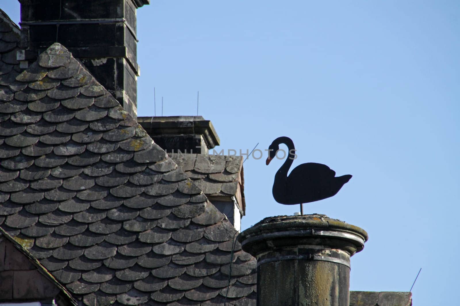 Weather swan at Vinsebeck Castle