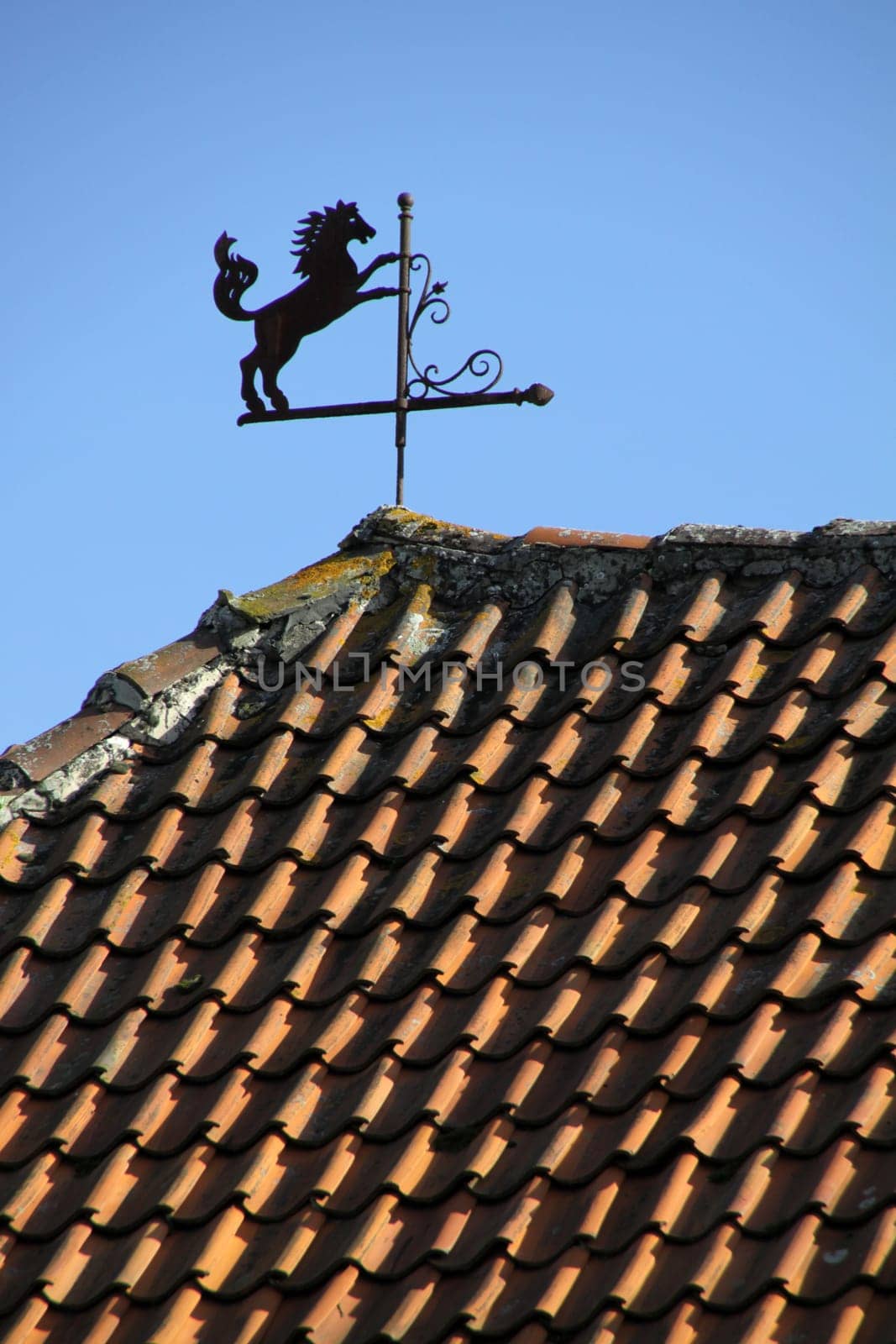 Vinsebeck Castle Weather Vane