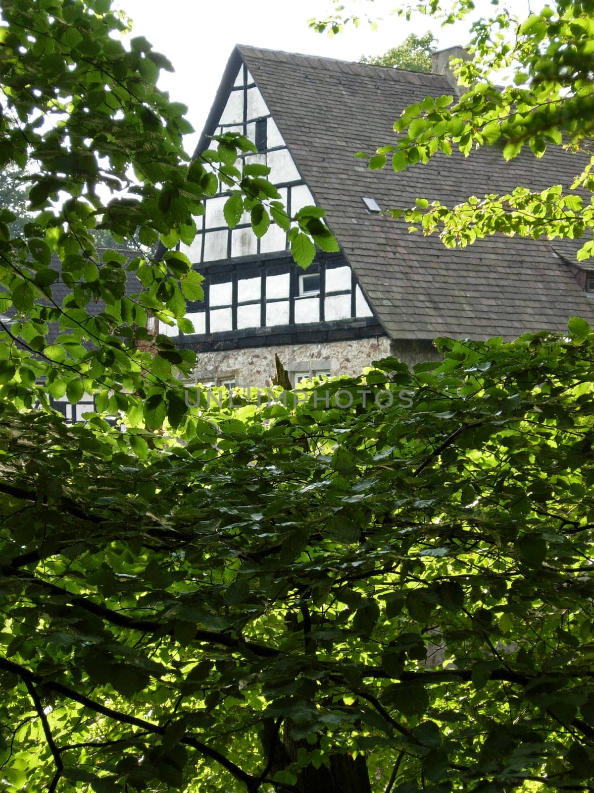 Gut Ullenhausen im Extertal