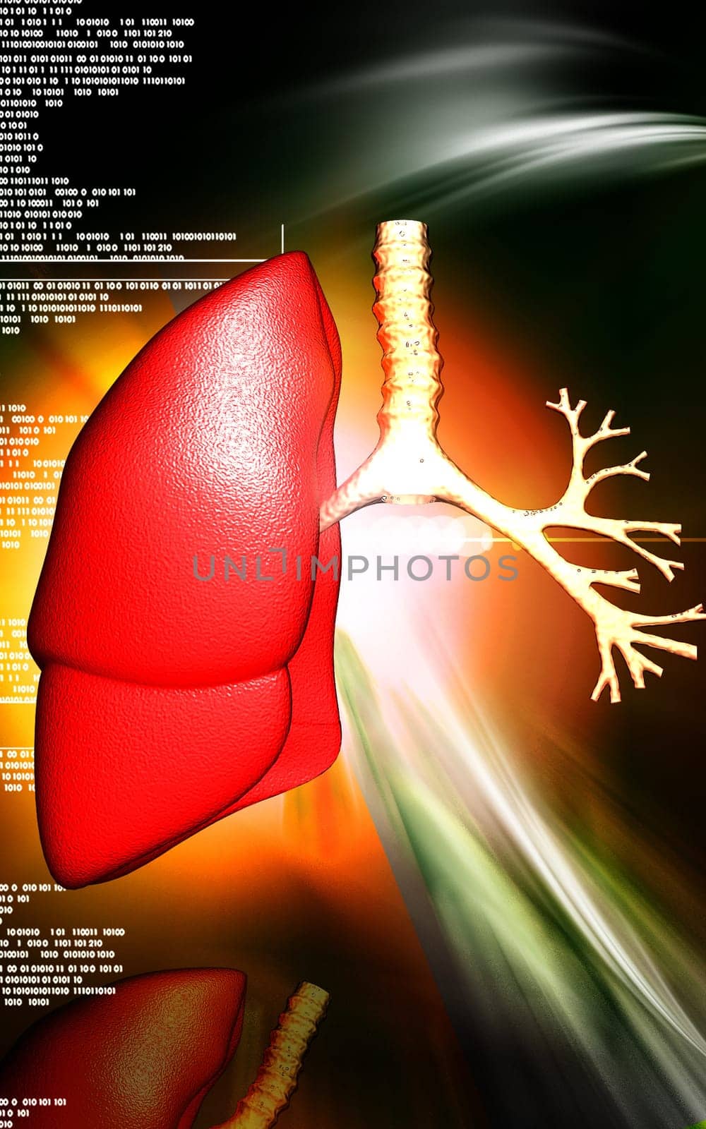 Digital illustration of human lungs in colour background