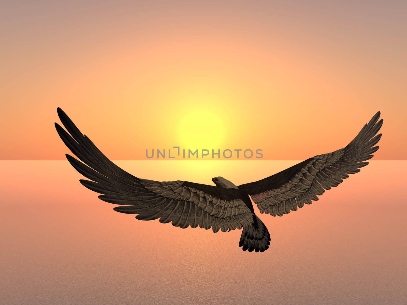 Computer-generated 3D illustration with a white-tailed eagle at a sunset