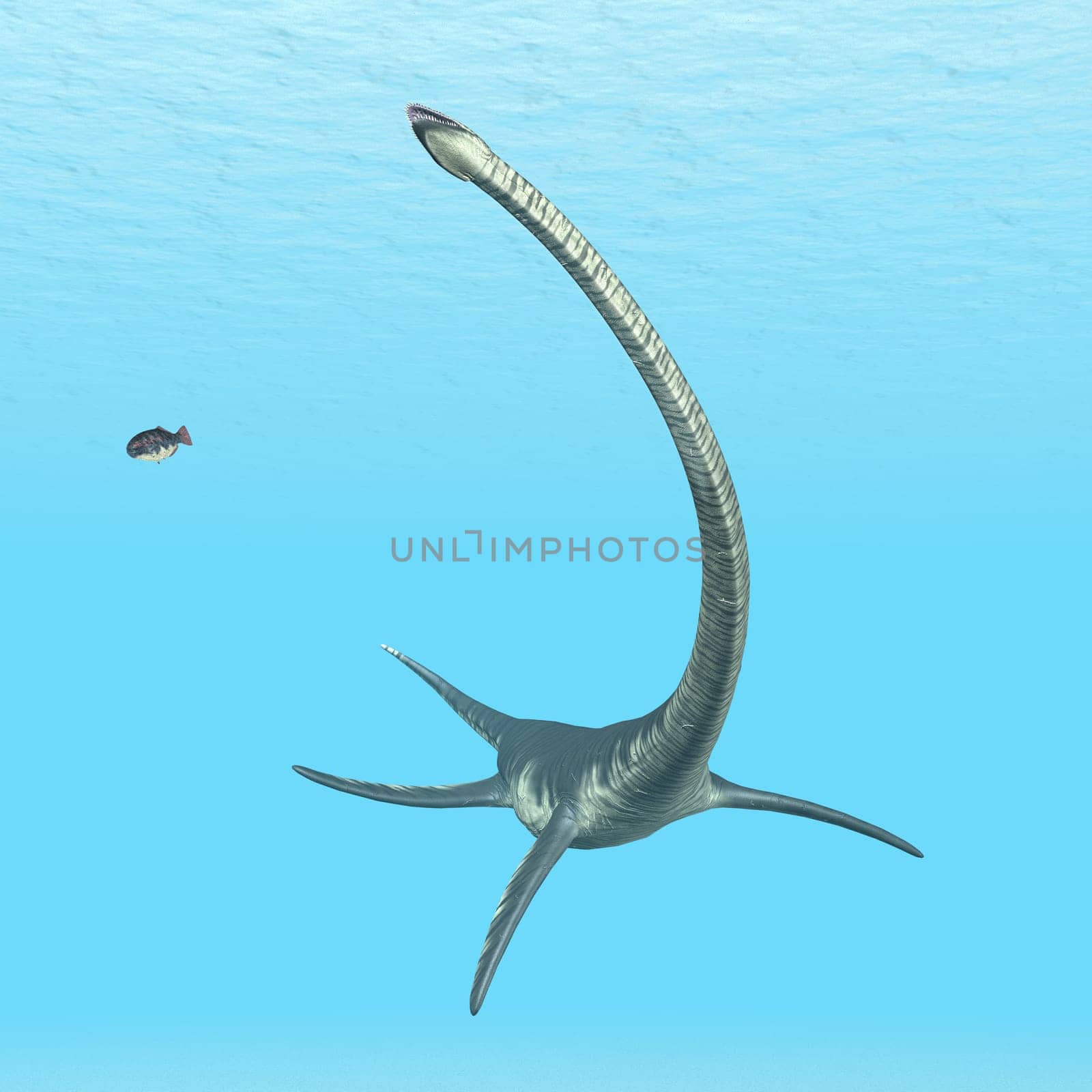 Computer-generated 3D illustration with the prehistoric plesiosaur Elasmosaurus