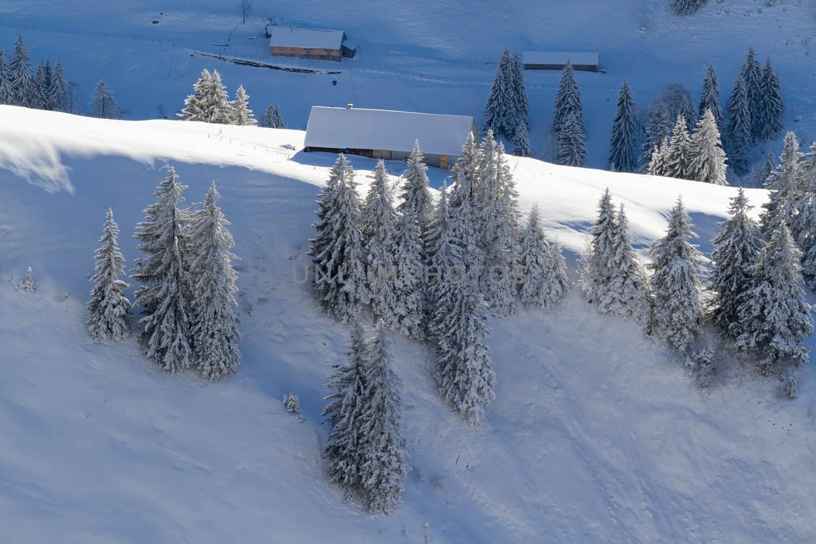 Winter mood in the mountains