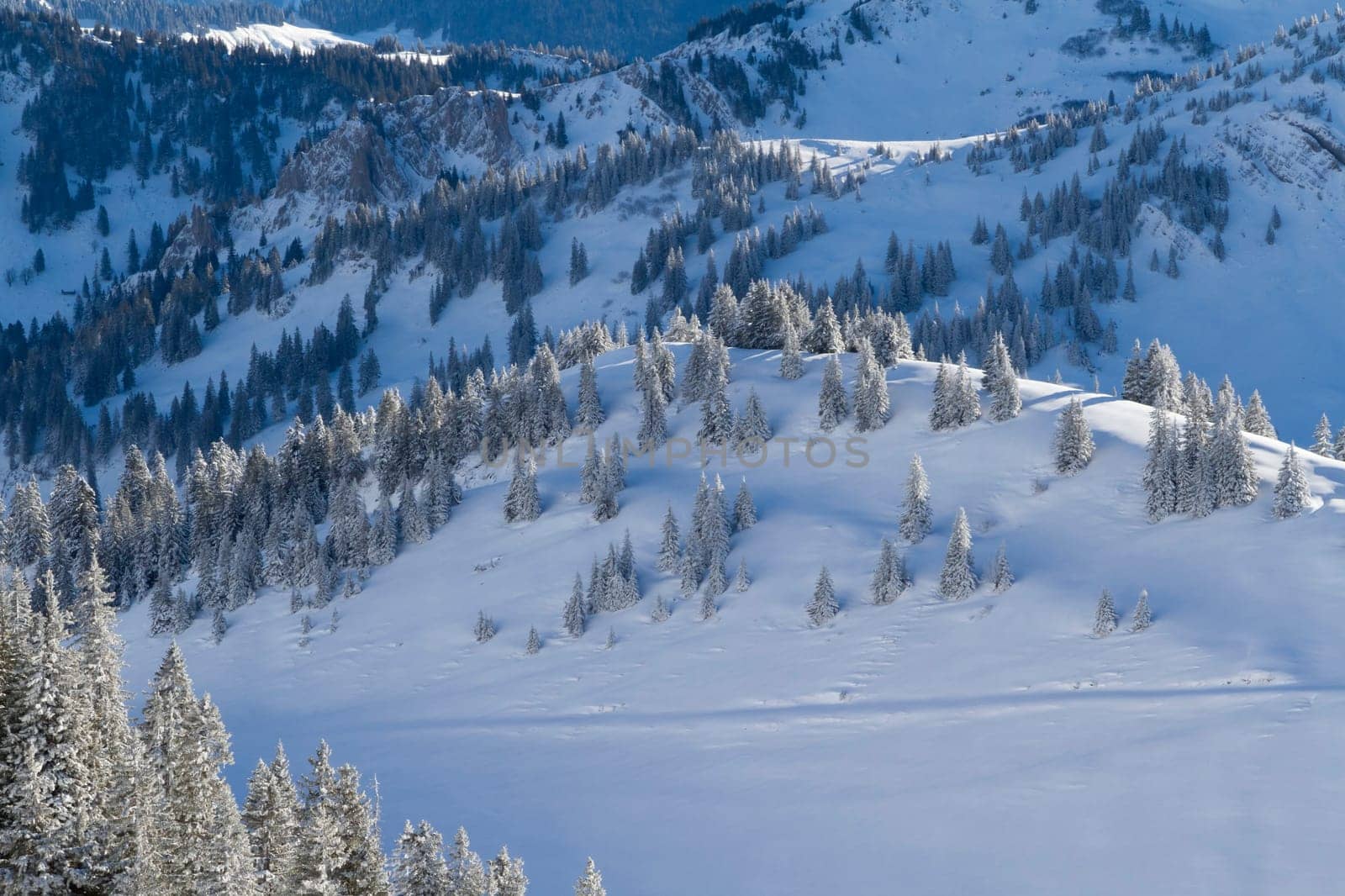 Winter mood in the mountains