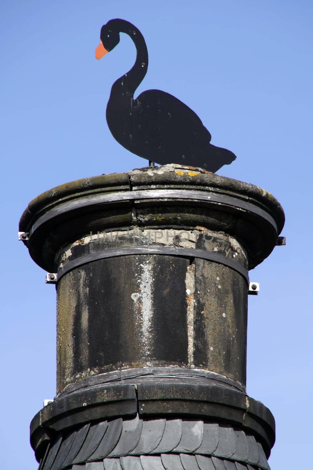 Weather swan at Vinsebeck Castle