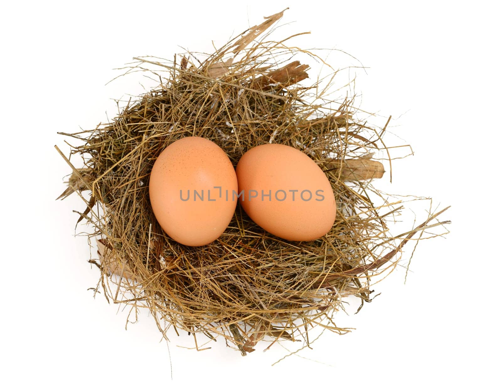 Egg in a Nest