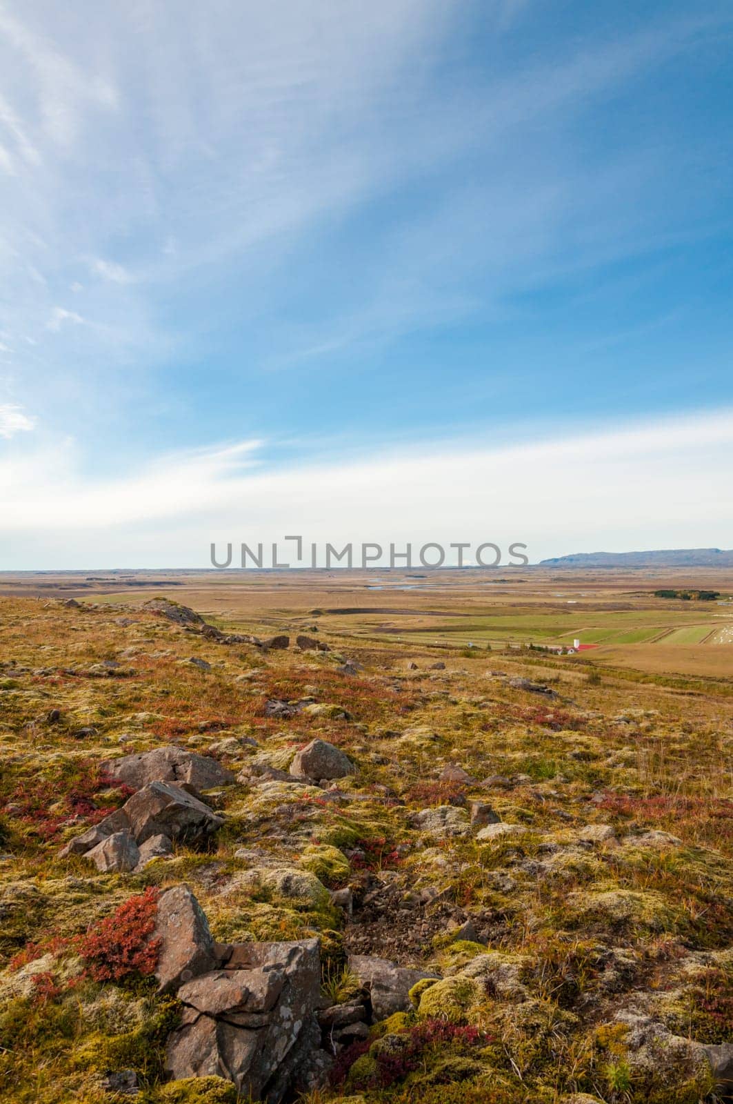Icelandic landscape with volcanic rocks and green grass