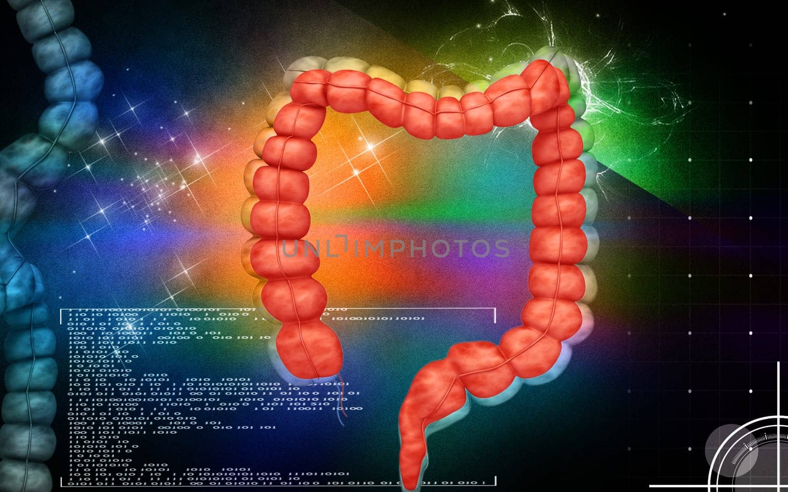 Digital illustration of Intestine in colour background